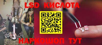 прущие грибы Кулебаки