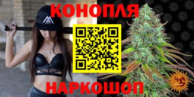 прущие грибы Кулебаки